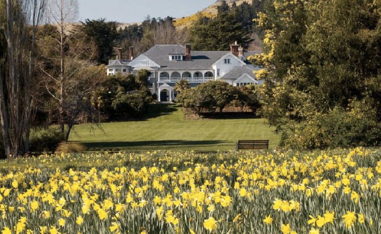 Daffodil Day comes to Otahuna Lodge near Christchurch this spring. Daffodil Day comes to Otahuna Lodge near Christchurch this spring.