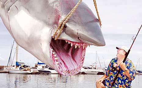 Fraser Coast Chronicle editor Peter Chapman with his 'amazing catch' of a 5.1m shark he fought for 12 hours on April Fools Day. Fraser Coast Chronicle editor Peter Chapman with his 'amazing catch' of a 5.1m shark he fought for 12 hours on April Fools Day.