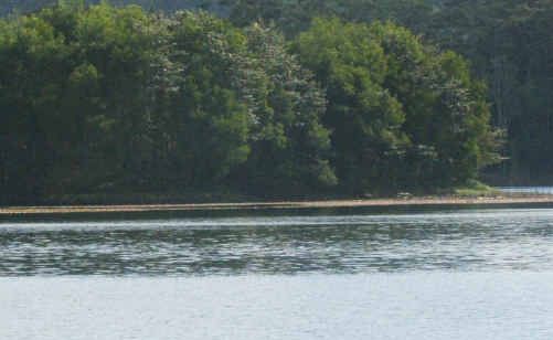 Clarrie Hall Dam is not the only option. Clarrie Hall Dam is not the only option.