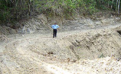 The damaged Main Arm property. The damaged Main Arm property.