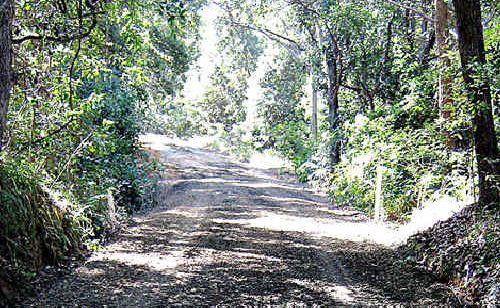 Road to Tuckers Rock Beach. Road to Tuckers Rock Beach.