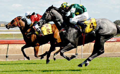 Amy White guides home Dash’s Princess (No.5) ahead of Silver’s Finito, ridden by Raymond Spokes, in race three. Amy White guides home Dash’s Princess (No.5) ahead of Silver’s Finito, ridden by Raymond Spokes, in race three.