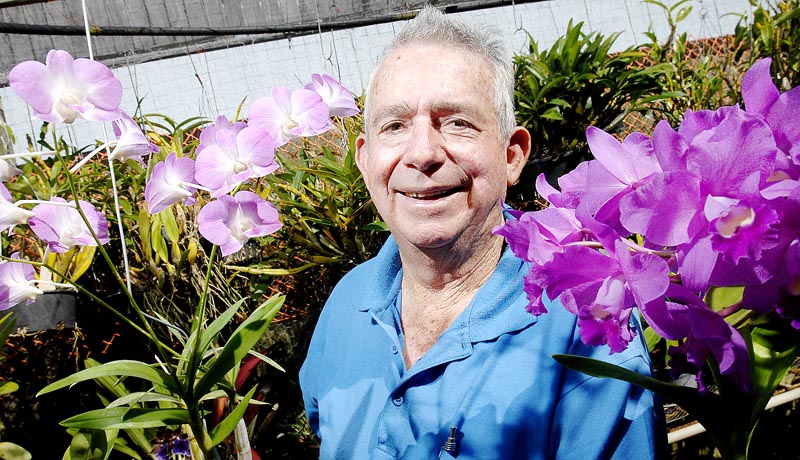 Ron Campbell, of Goonellabah, with his orchids. Ron Campbell, of Goonellabah, with his orchids.
