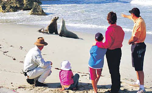 Kangaroo Island. Kangaroo Island.