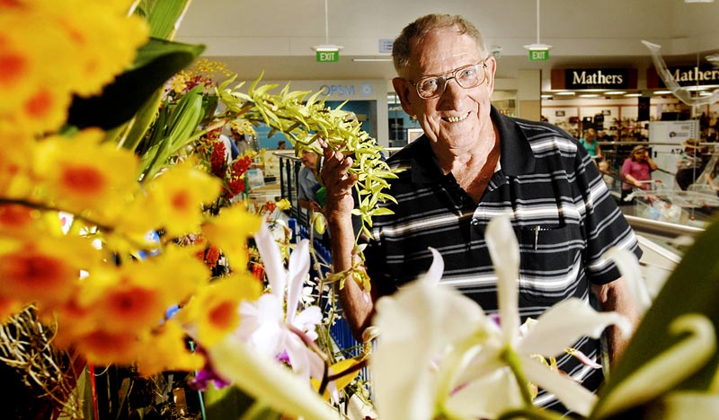 Graham Gamble of Goonellabah took out the Champion and Reserve Champion Species prizes at last year's Northern Rivers Orchid Species Society annual show. Graham Gamble of Goonellabah took out the Champion and Reserve Champion Species prizes at last year's Northern Rivers Orchid Species Society annual show.