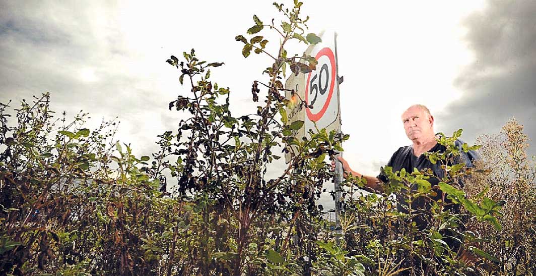 Ulmarra business owner Col Wilcox looks over an overgrown traffic island at the northern entrance to the town. Ulmarra business owner Col Wilcox looks over an overgrown traffic island at the northern entrance to the town.