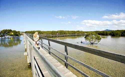 The Urunga lagoon boardwalk. The Urunga lagoon boardwalk.