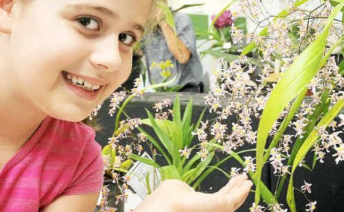 Annabel Easson admires an Ornothorhynettum at the Botanic Garden. Annabel Easson admires an Ornothorhynettum at the Botanic Garden.
