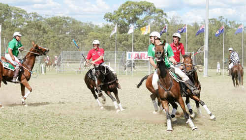 Warwick player and Australian World Cup squad member Cameron Shepherd in possession last month at Morgan Park against Sale. Warwick player and Australian World Cup squad member Cameron Shepherd in possession last month at Morgan Park against Sale.