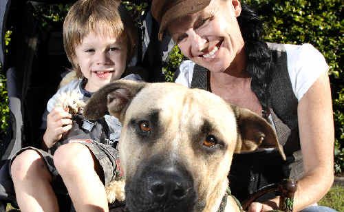 Mel Jones, of East Lismore, and her son Zane, 3, with their other family member, Otis the dog. Mel Jones, of East Lismore, and her son Zane, 3, with their other family member, Otis the dog.