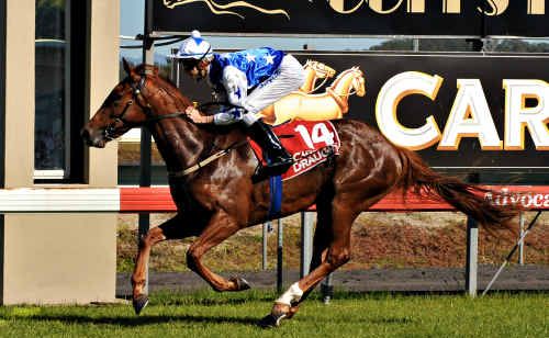 Lastpic is a rough chance in the 3YO Fillies Plate at the Gold Coast today with Glen Colless in the saddle. Lastpic is a rough chance in the 3YO Fillies Plate at the Gold Coast today with Glen Colless in the saddle.