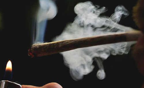 Should marijuana be legalised in Australia? Should marijuana be legalised in Australia?
