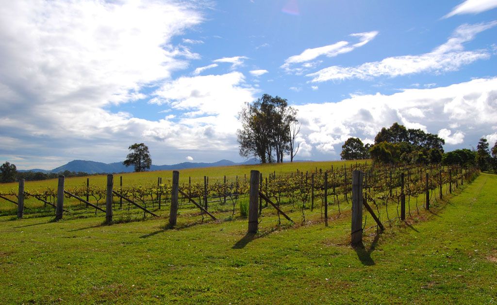 Wine enthusiasts will relish sun-soaked vineyards. Wine enthusiasts will relish sun-soaked vineyards.