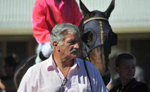 Trainer Gordon Yorke is blessed with an abundance of class thoroughbreds. Trainer Gordon Yorke is blessed with an abundance of class thoroughbreds.