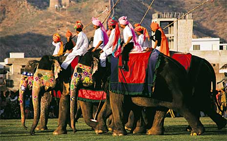 Players line up for elephant polo in Thailand. Players line up for elephant polo in Thailand.