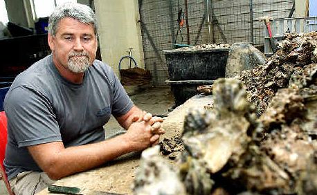 Terranora Lake Oysters owner Cliff Verdich said more than 2400 oysters valued at $2000 have been stolen from several of his leases in the Terranora Broadwater. Terranora Lake Oysters owner Cliff Verdich said more than 2400 oysters valued at $2000 have been stolen from several of his leases in the Terranora Broadwater.