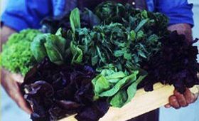 67% of consumers surveyed would be willing to pay a little more for Australian produce. 67% of consumers surveyed would be willing to pay a little more for Australian produce.