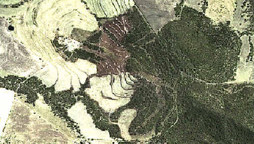 Eye in the sky: The type of satellite image being sent to landowners suspected of illegally clearing their land Eye in the sky: The type of satellite image being sent to landowners suspected of illegally clearing their land