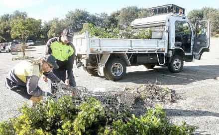 What a mess: Coffs Harbour City Council workers Kris Pierce and Darren Brian tidy up at the surf club car park yesterday morning. What a mess: Coffs Harbour City Council workers Kris Pierce and Darren Brian tidy up at the surf club car park yesterday morning.