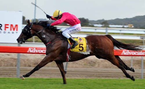 Being anointed as a Centre Of Excellence would see many more winners go past the post at Coffs Harbour race meetings. Being anointed as a Centre Of Excellence would see many more winners go past the post at Coffs Harbour race meetings.