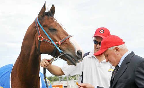 Local legend: “Whack a bit more tomato sauce on that carrot stick, please Joe ...” Takeover Target and owner-trainer Joe Janiak are about to go travelling again. Local legend: “Whack a bit more tomato sauce on that carrot stick, please Joe ...” Takeover Target and owner-trainer Joe Janiak are about to go travelling again.