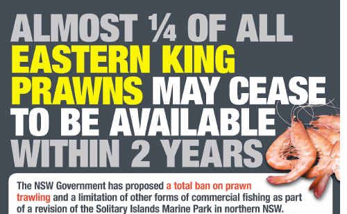 The flyer to be circulated at the Sydney Fish Markets today. The flyer to be circulated at the Sydney Fish Markets today.