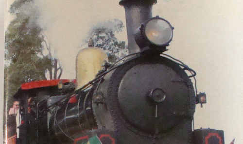 The future of the Glenreagh Mountain Railway is bright, according to secretary David Page. The future of the Glenreagh Mountain Railway is bright, according to secretary David Page.