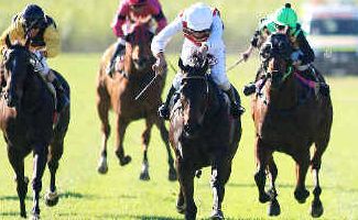 On the charge: Diva Dance (far right), with Chris Whitely aboard, wins the fourth race on yesterday’s program at the Tweed River Jockey Club track. On the charge: Diva Dance (far right), with Chris Whitely aboard, wins the fourth race on yesterday’s program at the Tweed River Jockey Club track.