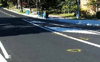 Pedestrian struck: The scene on Pine Avenue, East Ballina, where a pedestrian was struck by a utility on Saturday night and later died in Lismore Base Hospital. Pedestrian struck: The scene on Pine Avenue, East Ballina, where a pedestrian was struck by a utility on Saturday night and later died in Lismore Base Hospital.
