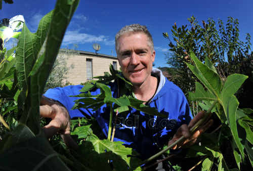 Steve McGrane in his sustainable garden at Korora. Steve McGrane in his sustainable garden at Korora.