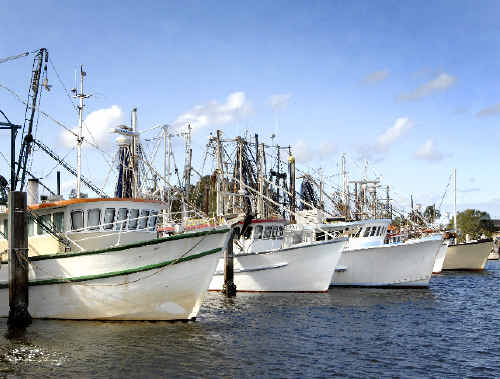 Fleets shrink: The Ballina Fishermen’s Co-operative fears for the future of trawler fleets like those moored at Ballina as the Federal Government plans to create two new deepwater marine parks off the Tweed and Clarence coasts.
