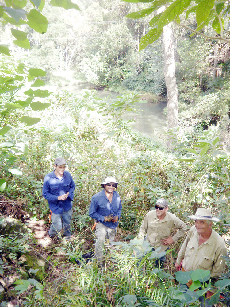 Working on the Wilsons Creek project are team members (l to r) Lee Bowden, Gavin Heidenreich, Todd Browning and Trevor Jenkins.
Working on the Wilsons Creek project are team members (l to r) Lee Bowden, Gavin Heidenreich, Todd Browning and Trevor Jenkins.