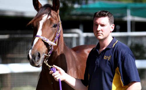 ALL CLASS: David Stafford with Writer, expected to run well in the first race. ALL CLASS: David Stafford with Writer, expected to run well in the first race.