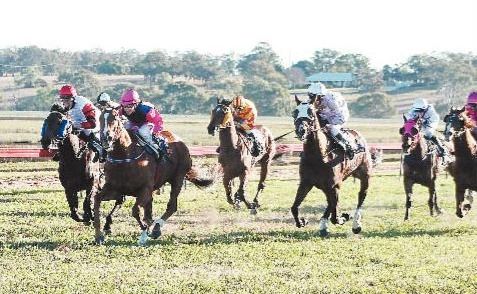 Flying Along (on outside at front) heads for the line to win the Barry Jones Recognition Class 5 Handicap at Allman Park on Saturday. Flying Along (on outside at front) heads for the line to win the Barry Jones Recognition Class 5 Handicap at Allman Park on Saturday.