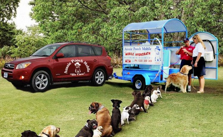 Dogs line up for the Aussie Pooch Mobile. Dogs line up for the Aussie Pooch Mobile.