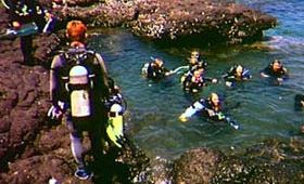 Enjoy a scuba diving holiday. Enjoy a scuba diving holiday.
