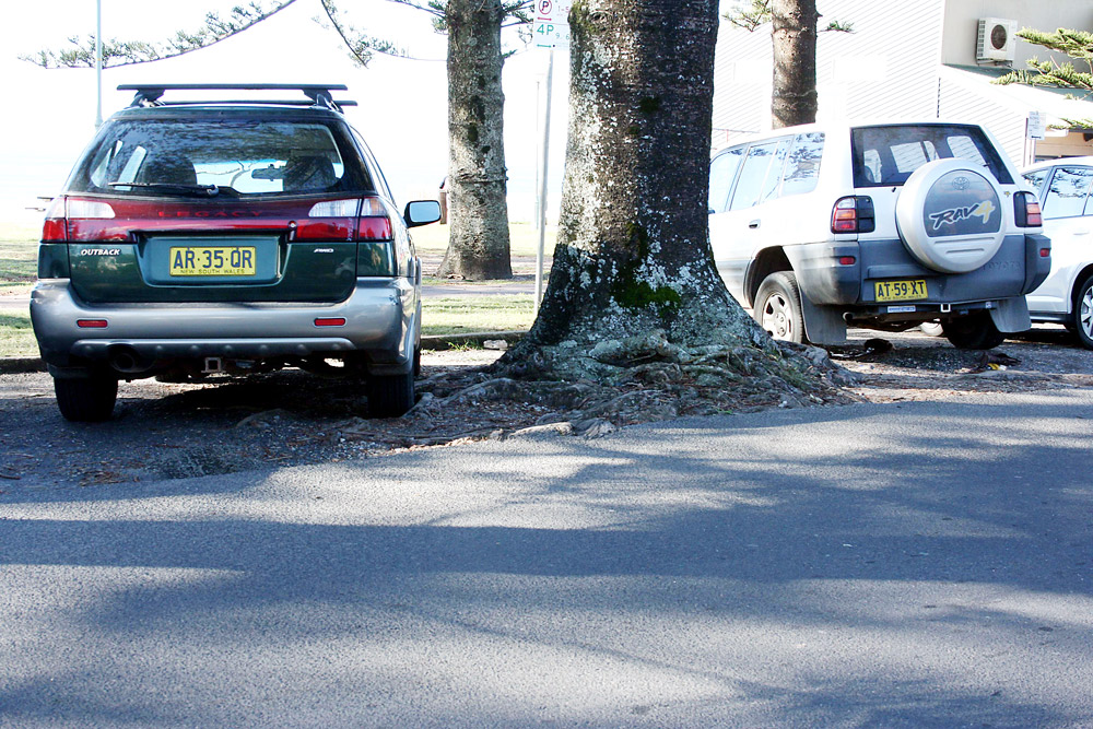 Cars park over the roots of the Norfolk pine trees in Bay Street, Byron Bay.
Cars park over the roots of the Norfolk pine trees in Bay Street, Byron Bay.