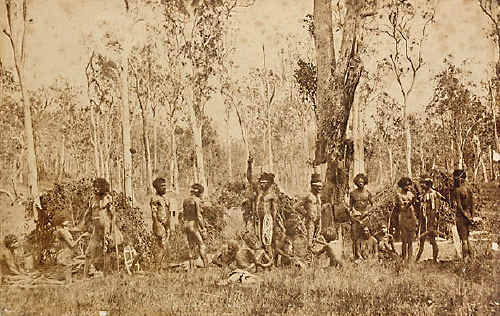 Some of Lismore’s original inhabitants. Some of Lismore’s original inhabitants.