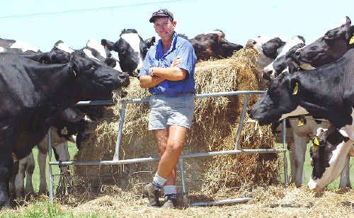 Casino dairy farmer Terry Toohey says after four generations with Norco the family has now signed on with a different processor. Casino dairy farmer Terry Toohey says after four generations with Norco the family has now signed on with a different processor.