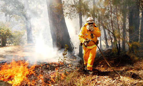Byron Bay Rural Fire Service deputy captain Steve Cullen fighting bushfires near homes in Wilsons Creek in August last year. Byron Bay Rural Fire Service deputy captain Steve Cullen fighting bushfires near homes in Wilsons Creek in August last year.