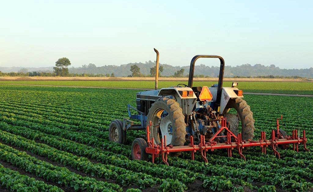 Lockyer Valley agriculture. Lockyer Valley agriculture.