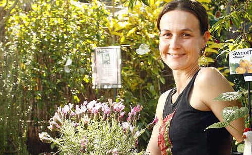 TIME TO PLANT: Chelsea Van Rijn of Trevallan Lifestyle Centre with some of the plants that flourish in the temperate spring climate. TIME TO PLANT: Chelsea Van Rijn of Trevallan Lifestyle Centre with some of the plants that flourish in the temperate spring climate.