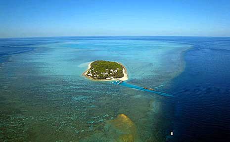 Heron Island. Heron Island.