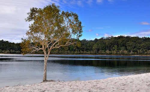 $3.4 million worth of upgraded visitor facilities have been spent at Lake McKenzie. $3.4 million worth of upgraded visitor facilities have been spent at Lake McKenzie.