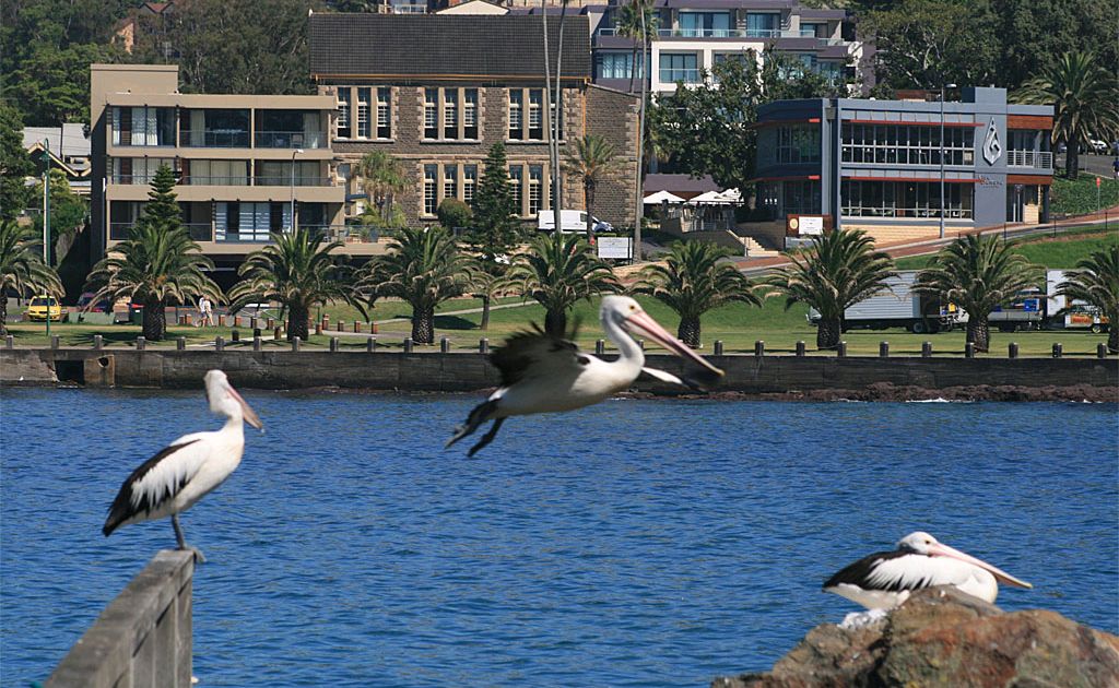 Kiama, NSW. Kiama, NSW.