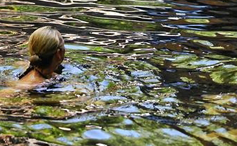 All Northern Territory waterholes are potential croc habitats, but the higher the pool, the lower the risk. All Northern Territory waterholes are potential croc habitats, but the higher the pool, the lower the risk.