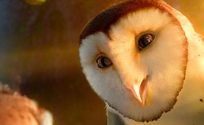 Legend of the Guardians: The Owls of Ga'Hoole is in cinemas now. Legend of the Guardians: The Owls of Ga'Hoole is in cinemas now.