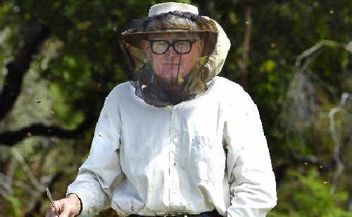 Broadwater beekeeper Alistair Maloney holds the contents of one of his bee hives. Broadwater beekeeper Alistair Maloney holds the contents of one of his bee hives.