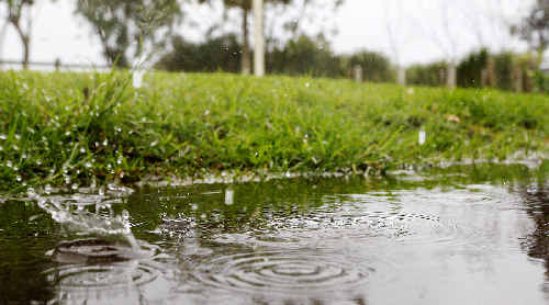 A deepening low pressure trough off the NSW Far North Coast is expected to cause further heavy rain in the region today. A deepening low pressure trough off the NSW Far North Coast is expected to cause further heavy rain in the region today.