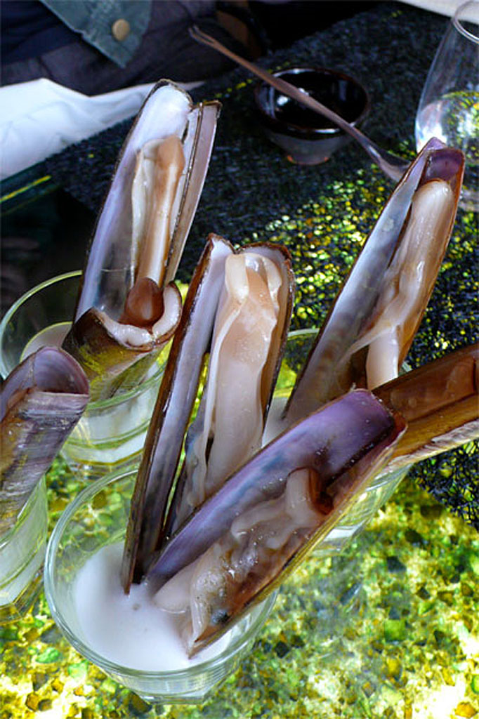 Razor clams are a local specialty in Galicia, Spain. Razor clams are a local specialty in Galicia, Spain.